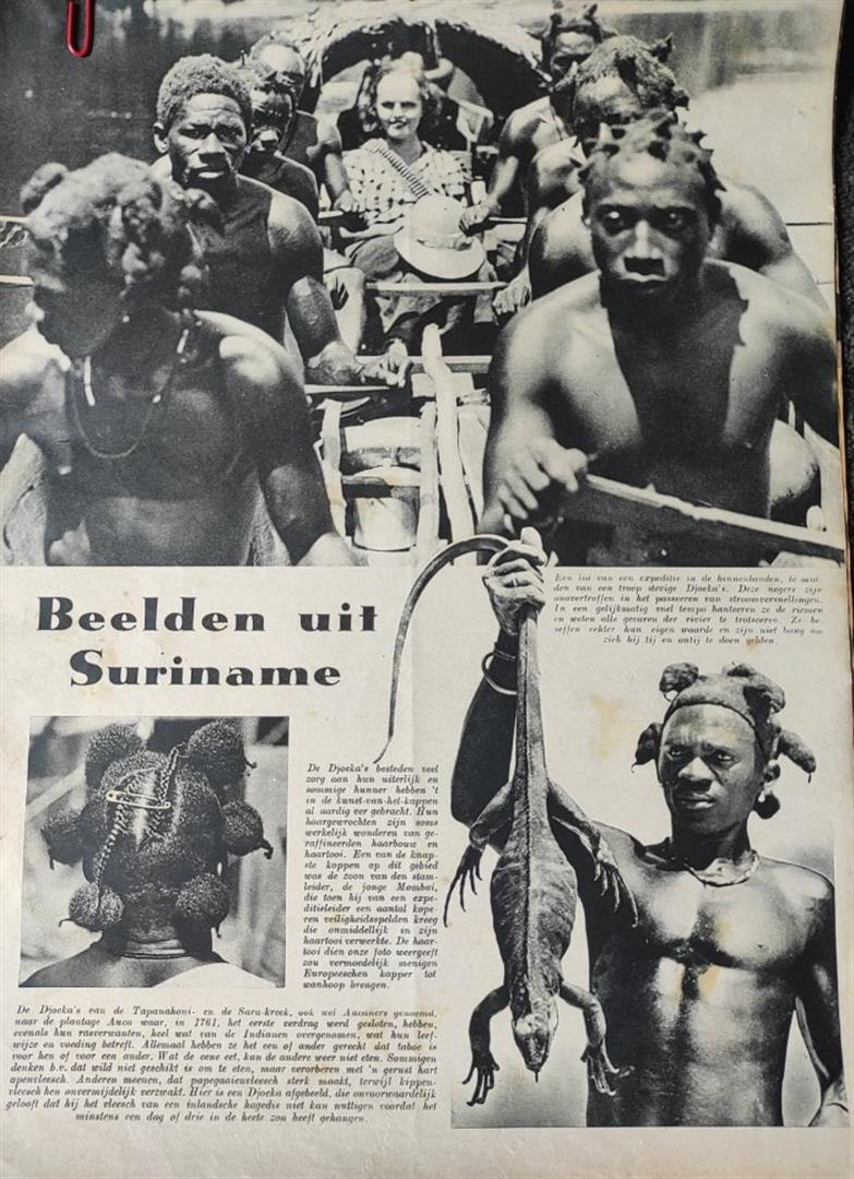 Artikel Beelden uit Suriname